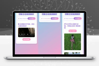 全新二次元聚合短视频解析去水印系统源码 自适应双端