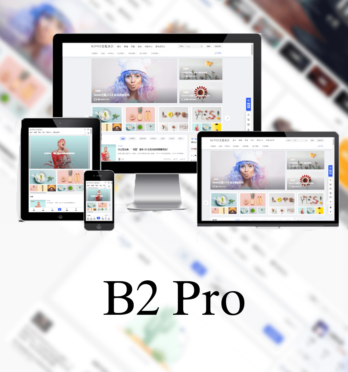 wordpress主题 7B2 PRO主题5.4.2免授权直接安装
